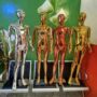 Children Fibre Glass