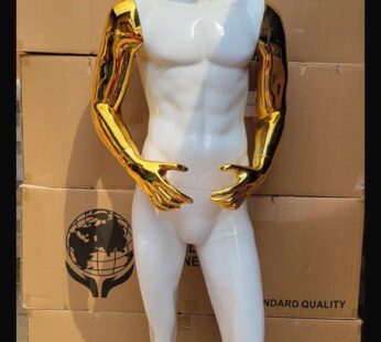 White & Gold Main Fiber Glass